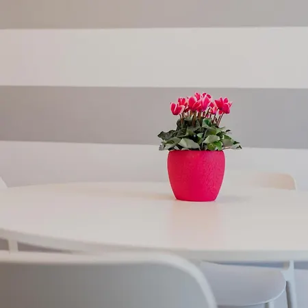 Modern Bright 2br Penthouse Close To Center Διαμέρισμα *